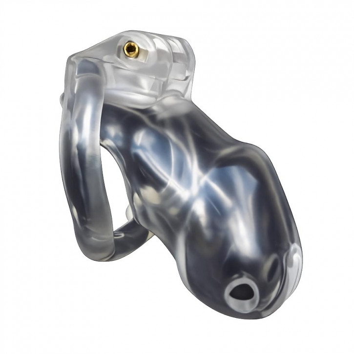 Cage Trainer Chastity Device