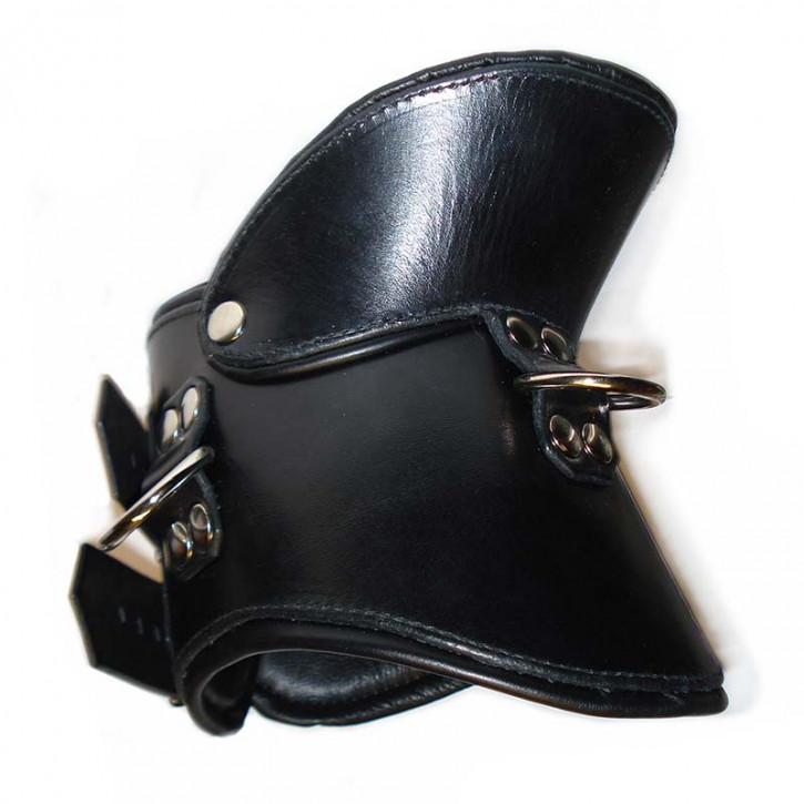 Positioning Collar, Leather