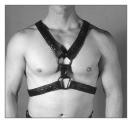 English RED Top Harness