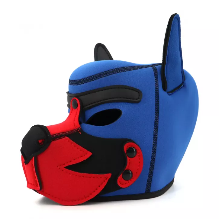 Puppy Hood blue