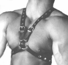 Oberkörperharness Premium