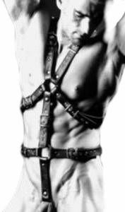 Harness-Geschirr Luxus, 4 cm