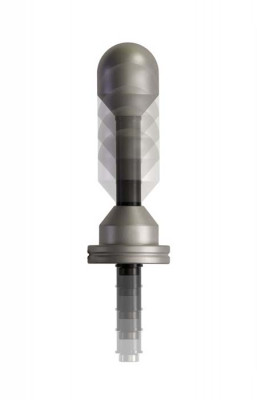 E-Stim Large Slider Reizstromelektrode