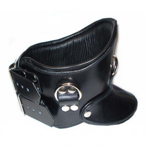 Positioning Collar, Leather