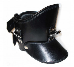 Positioning Collar, Leather