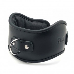 Positioning Collar, Leather