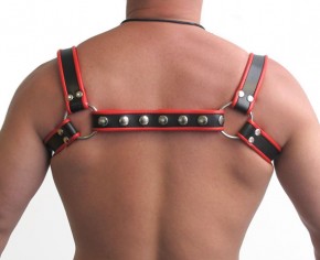 Halter Harness, blk/red, S/M