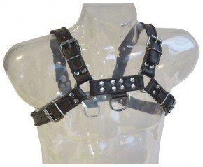 Front Harness
