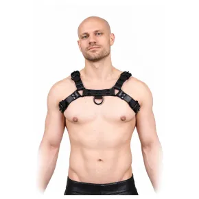 Front Harness