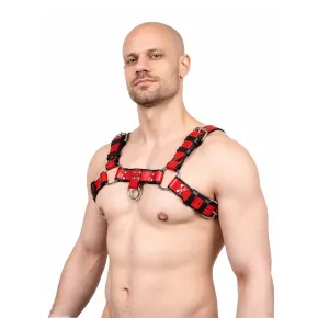 Chest Bulldog Harness