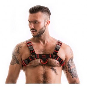 FETISH GEAR Coded Harness