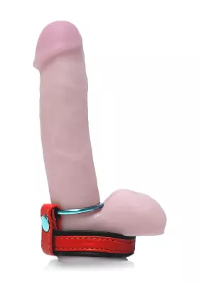 Penisgurt aus rotschwarzem Leder