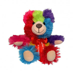 Teddy der MüAH zur Bärnefizaktion 2025