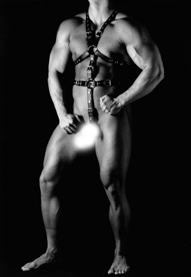 Luxury Black Leather Body Harness 3cm